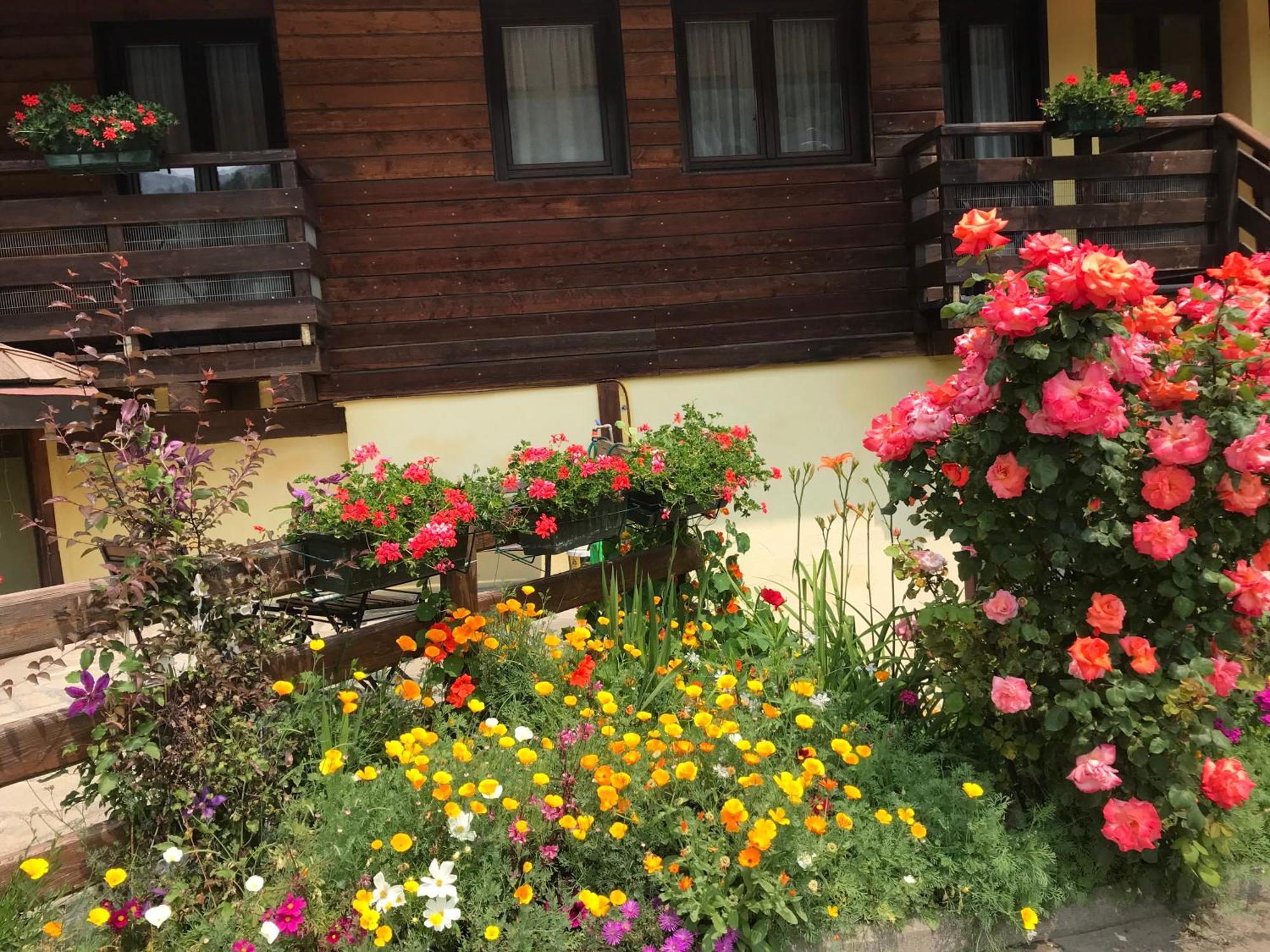 Hotel Ca Fiore บาร์โดเนกเกีย ภายนอก รูปภาพ